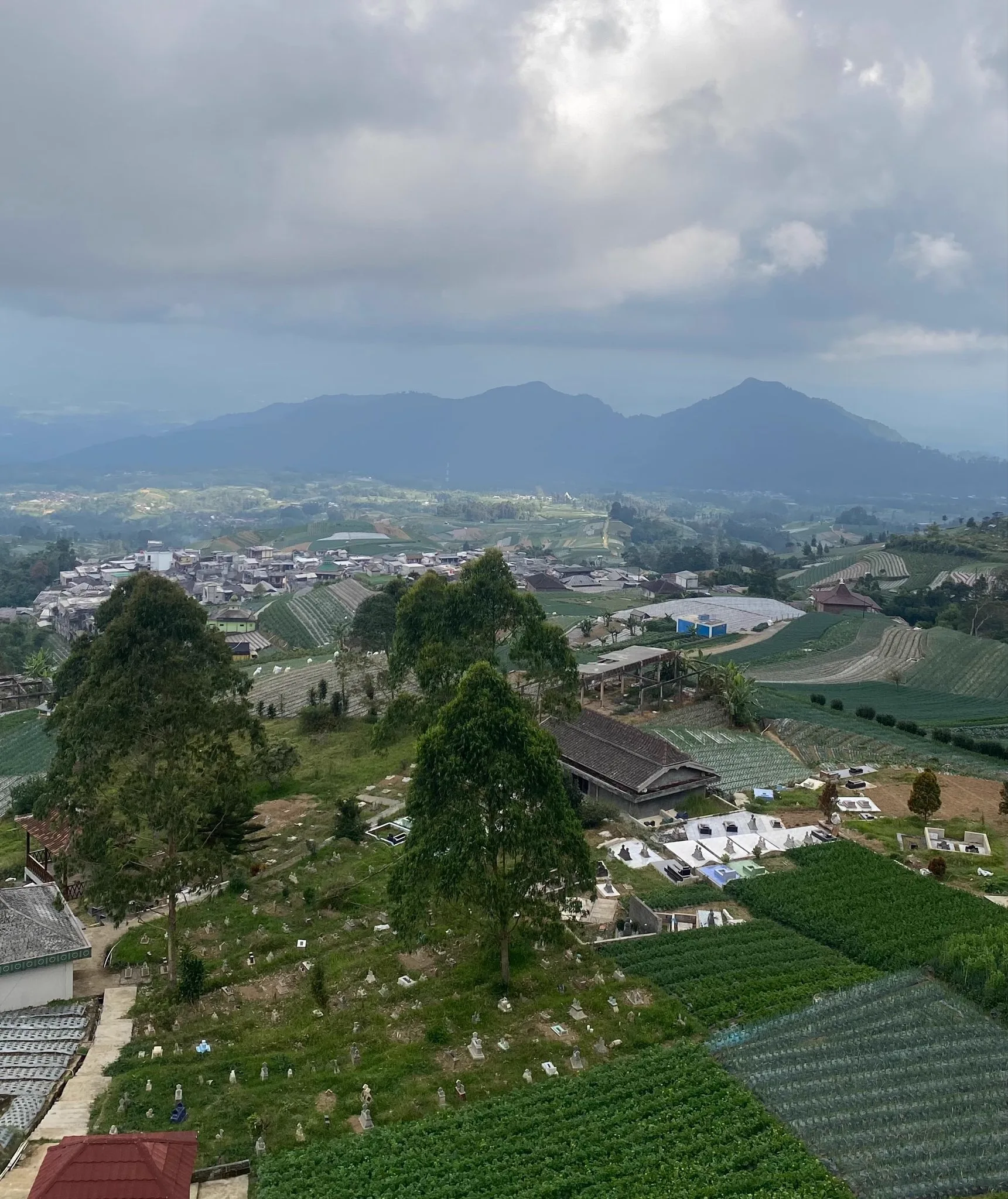 The full hillside of Nepal Van Java in Dusun Butuh with layered terraces and Mount Sumbing behind